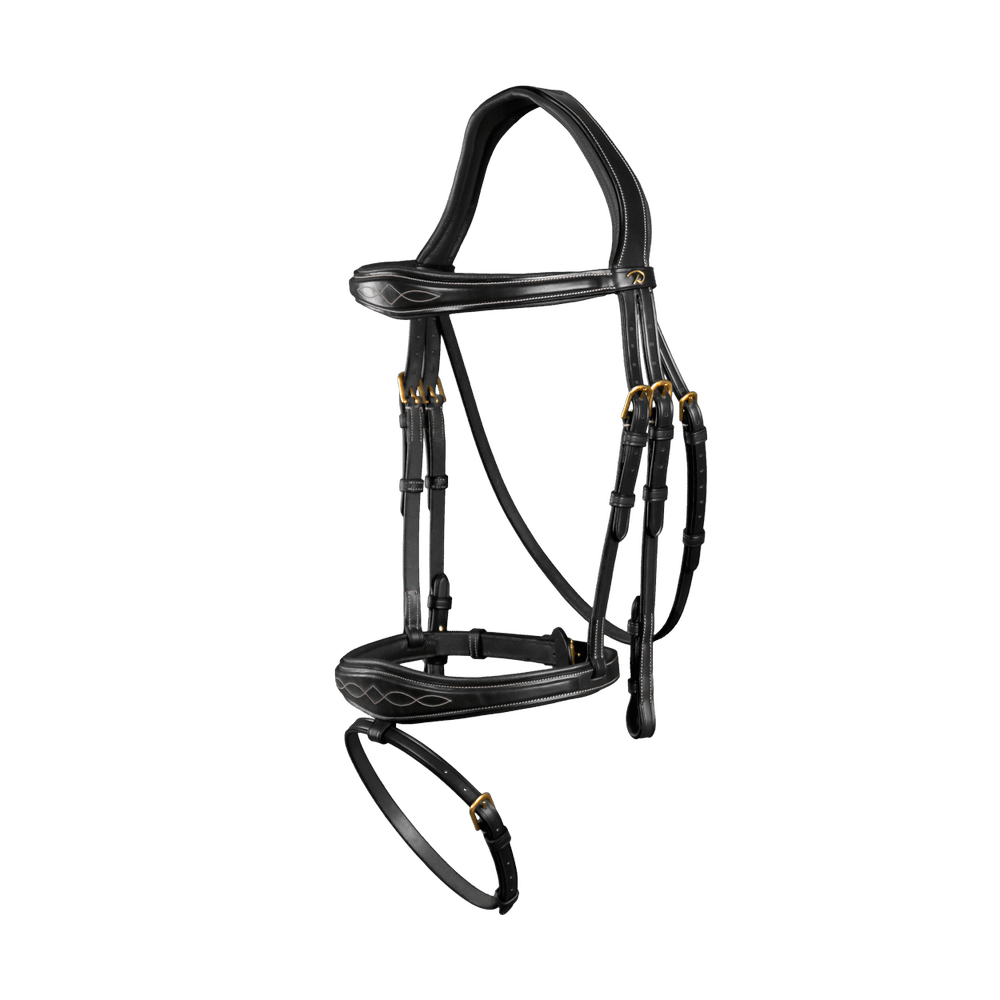 Anatomische Trense mit kombiniertem Reithalfter