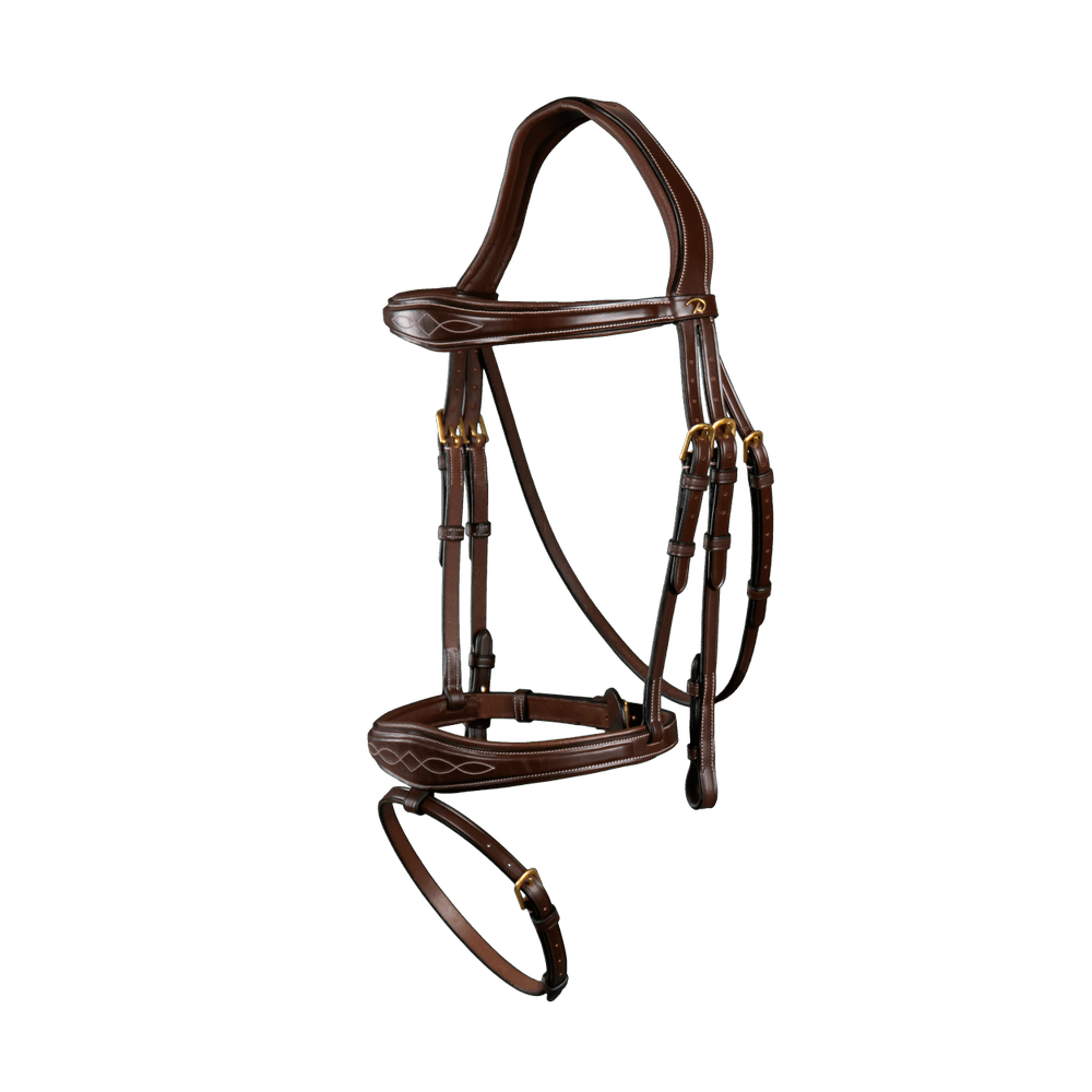 Anatomische Trense mit kombiniertem Reithalfter