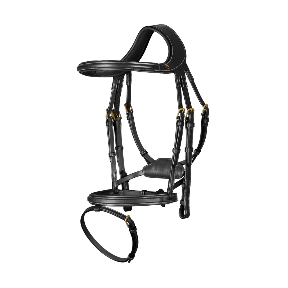 "Difference" Trense mit kombiniertem Reithalfter