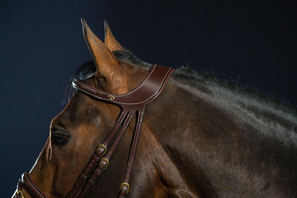 "Difference" Trense mit kombiniertem Reithalfter