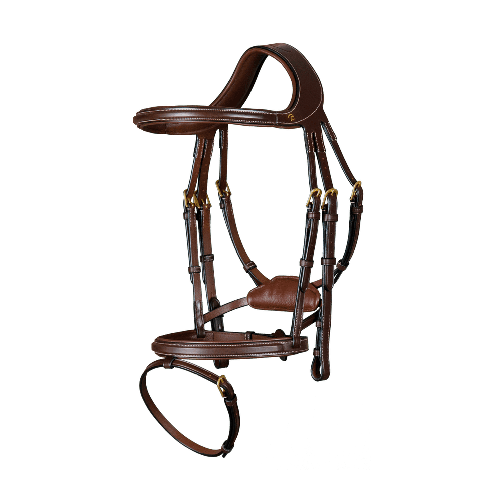 "Difference" Trense mit kombiniertem Reithalfter