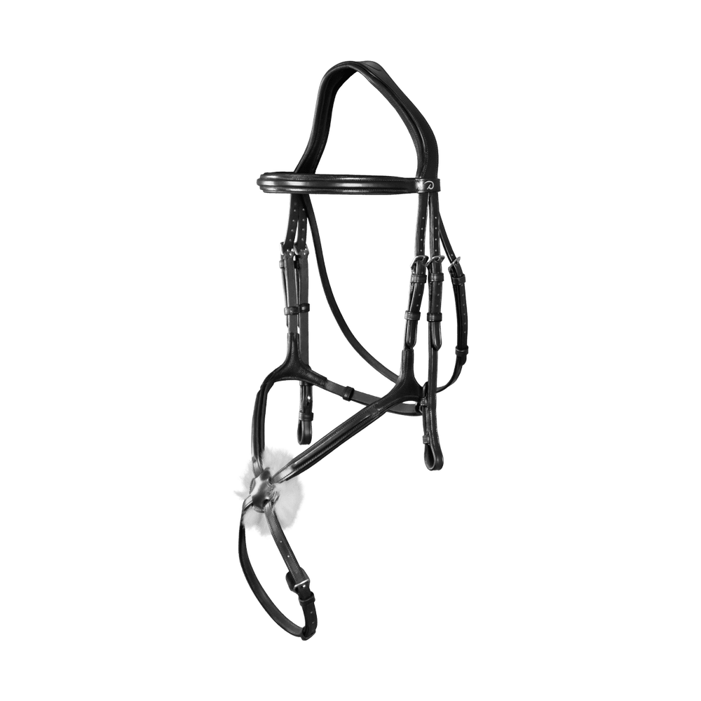 Trense mit mexikanischem Reithalfter