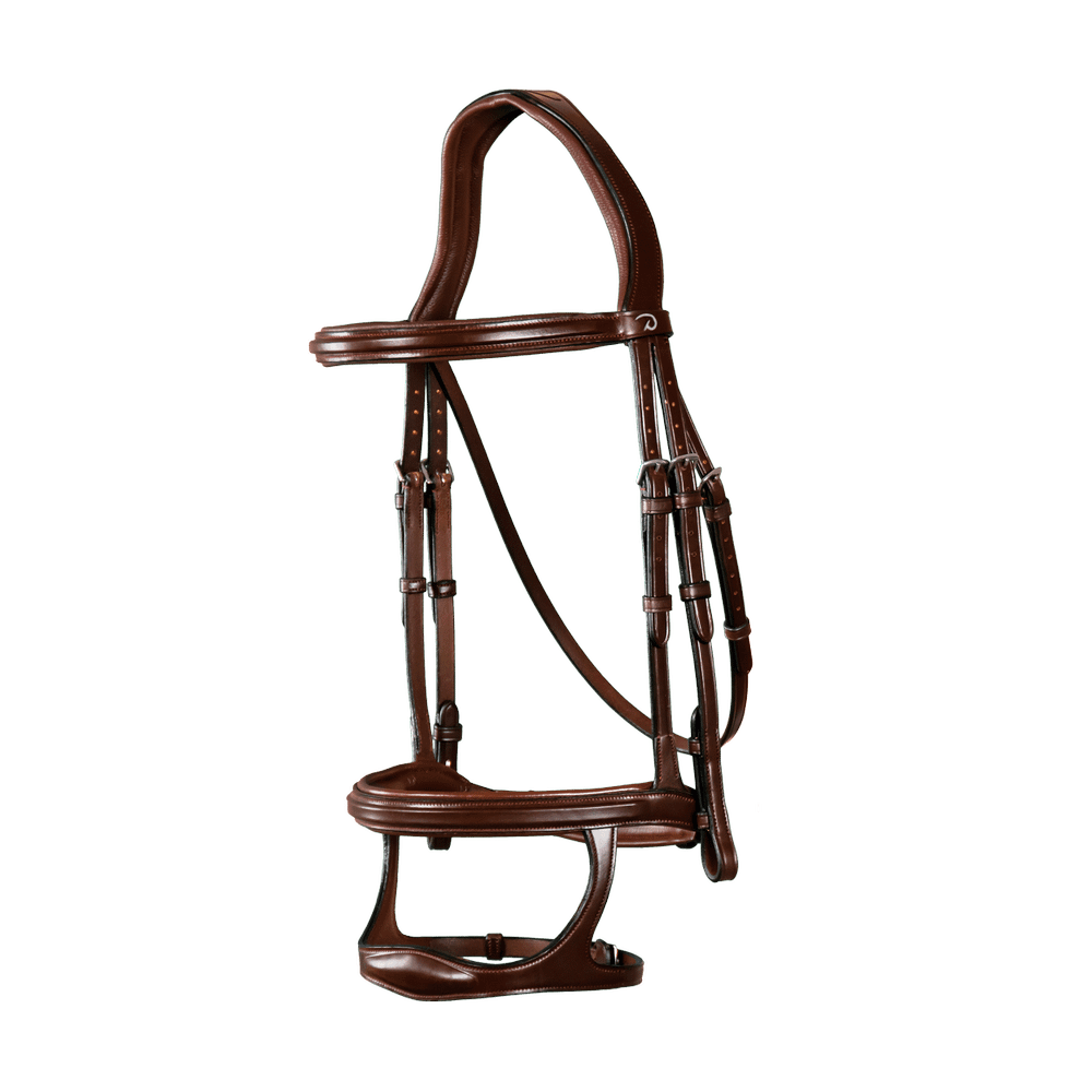 Trense mit Doppelsteg-Reithalfter