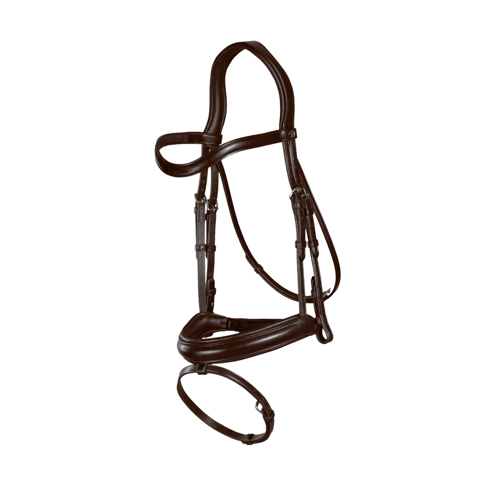 Trense mit kombiniertem Reithalfter aus Mattleder Medium