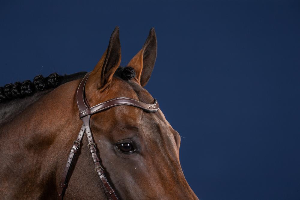 Flacher Stirnriemen in V-form