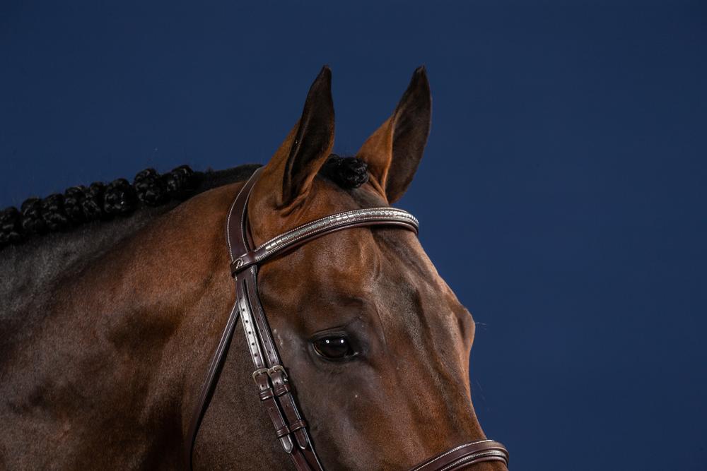 Gerader Stirnriemen mit Silberbeschlägen