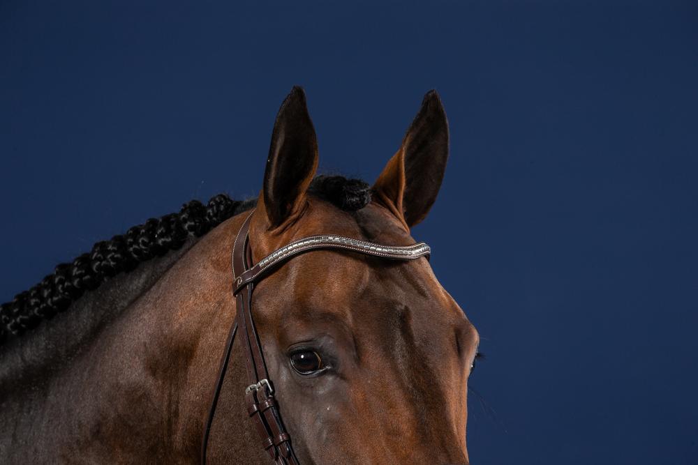 Stirnriemen in V-form mit Silberbeschlägen