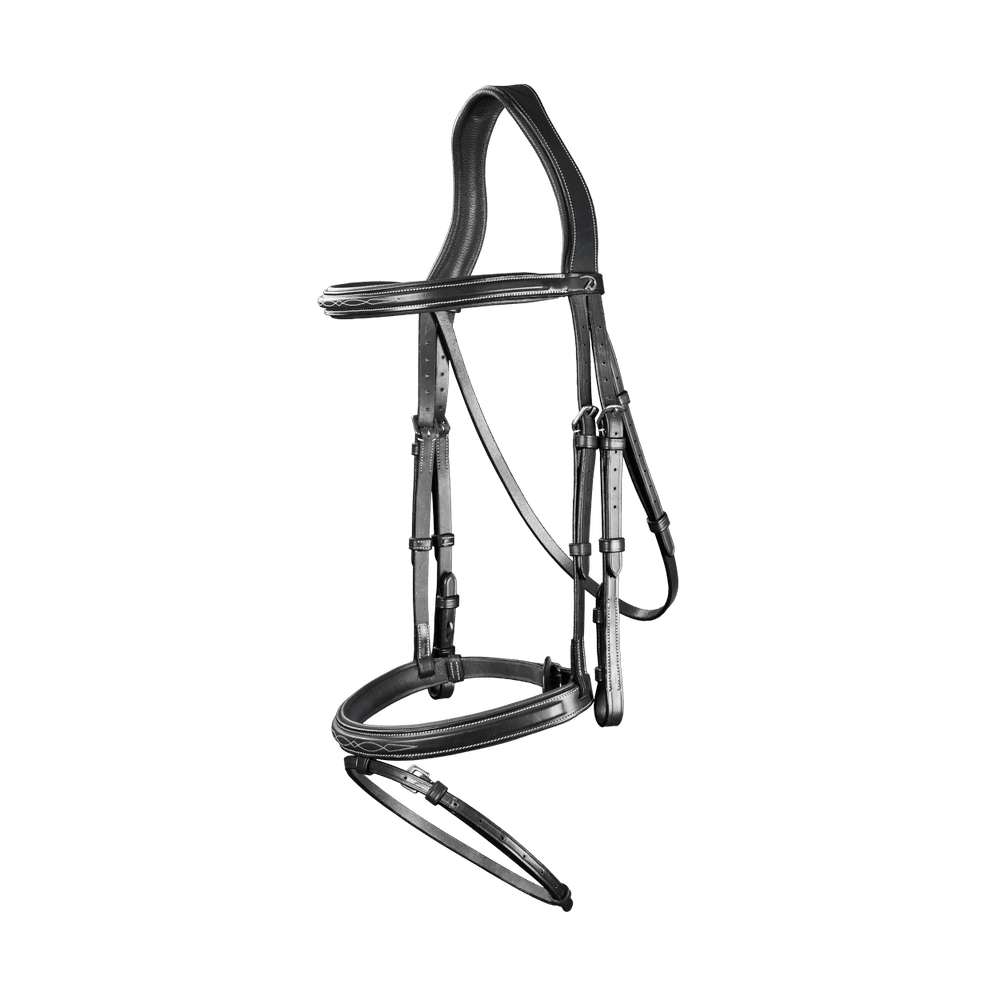 Trense mit kombiniertem Reithalfter