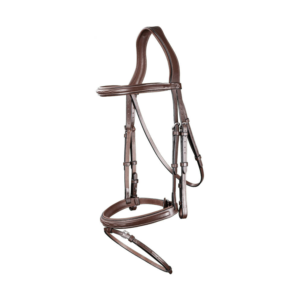 Trense mit kombiniertem Reithalfter