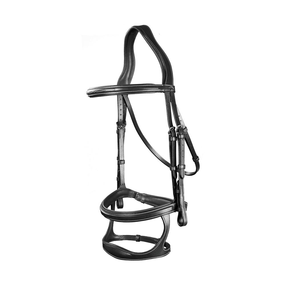 Trense mit Doppelsteg-Reithalfter