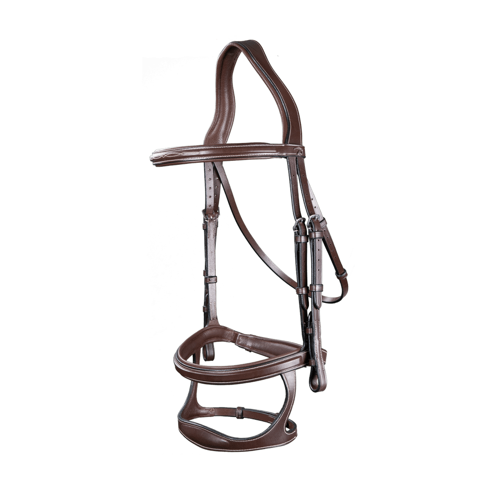 Trense mit Doppelsteg-Reithalfter