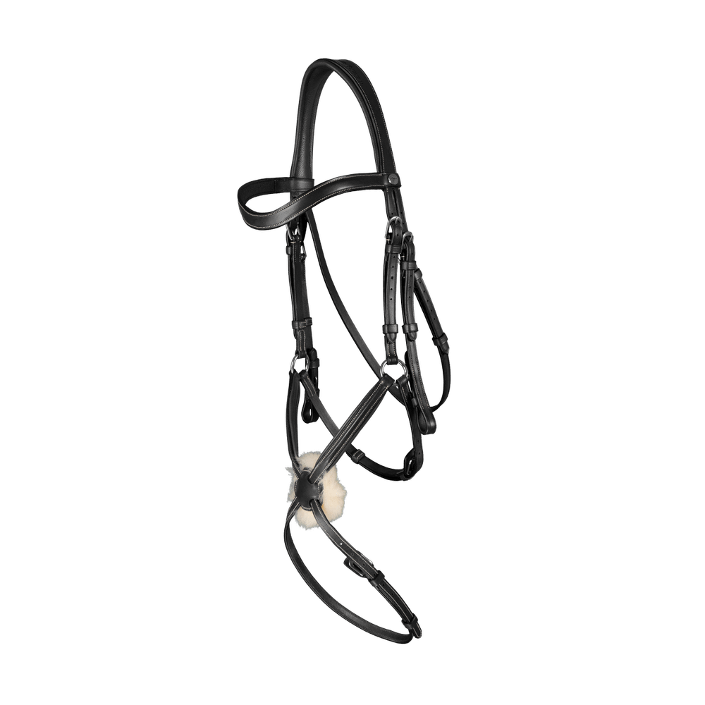 Trense mit mexikanischem Reithalfter