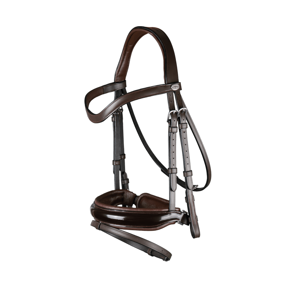 Trense mit breitem schwedisch-kombiniertem Lack Reithalfter