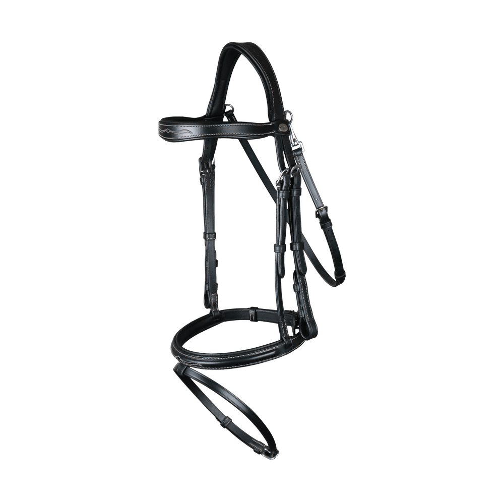 Trense mit kombiniertem Reithalfter und Karabinern