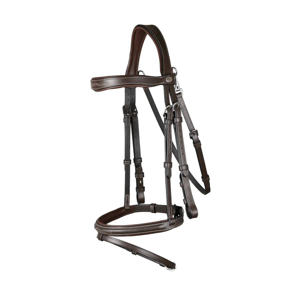 Trense mit kombiniertem Reithalfter und Karabinern