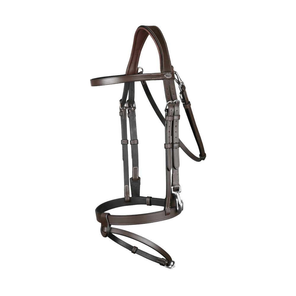 Trense aus Flachleder mit Karabinern