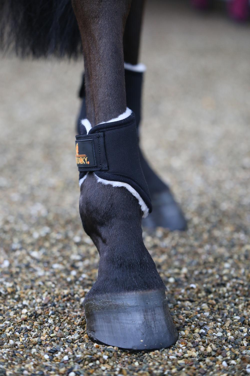 Brushing Boots Solimbra Hind Short - Kentucky Horsewear