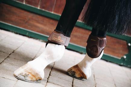 Streichkappe Young Horse - Kentucky Horsewear