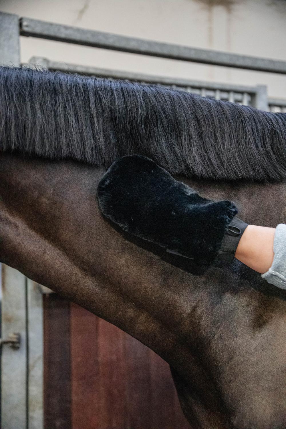 Lamfell Putzhandschuh - Grooming Deluxe