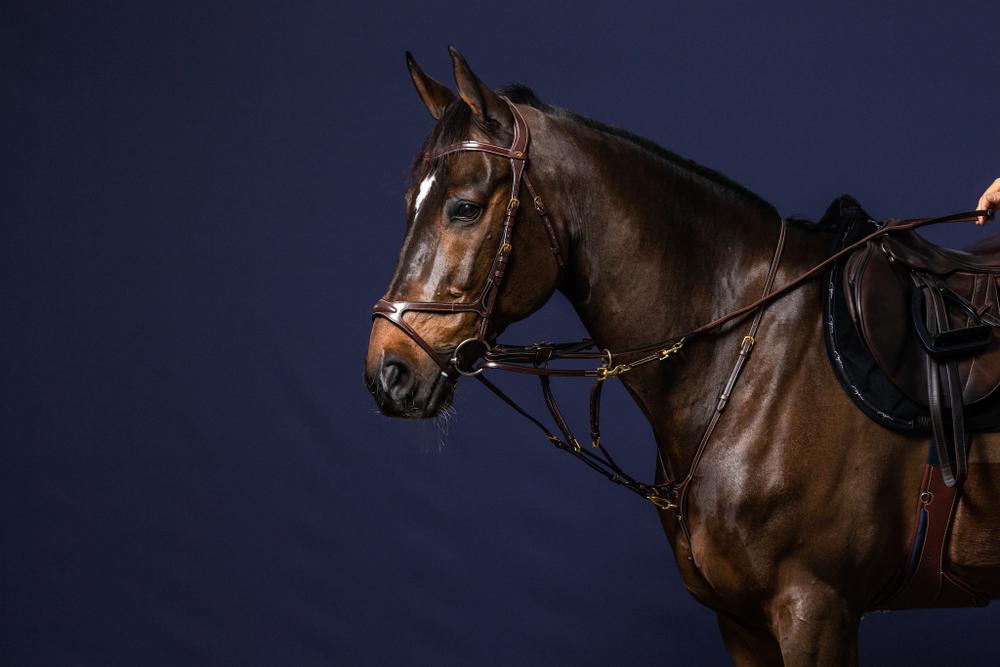 Howlett Verbindungsstück Thiedemannzügel