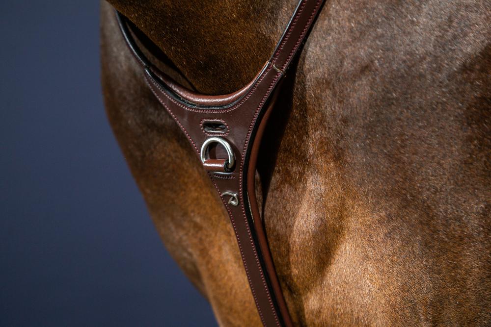 Yoke Martingal Riemen