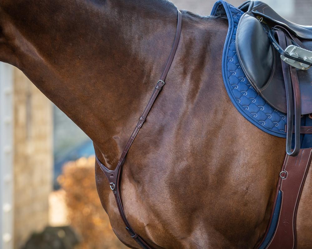 Yoke Martingal Riemen