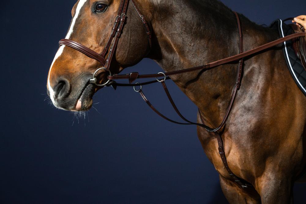 Gleitendes Martingal