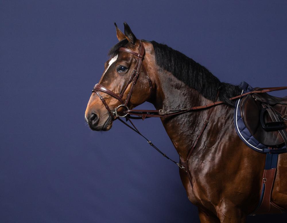 Howlett Thiedemann Verbindungsstück