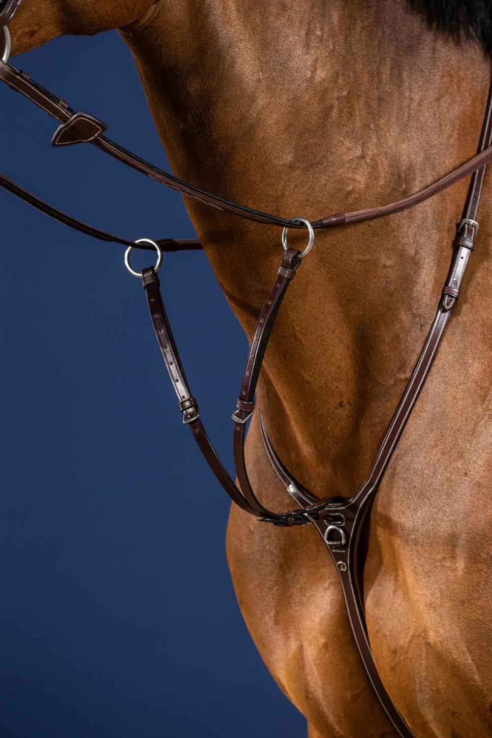 Martingalgabel Ringmartingal