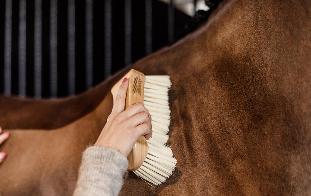 Body Brush Middle Soft - Grooming Deluxe