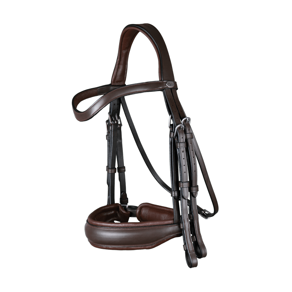 Kandare mit schwedischem Reithalfter