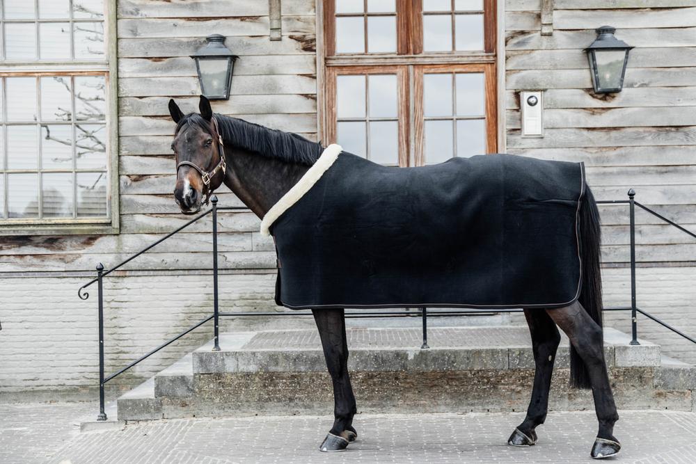 Abschwitzdecke Fleece Show Heavy