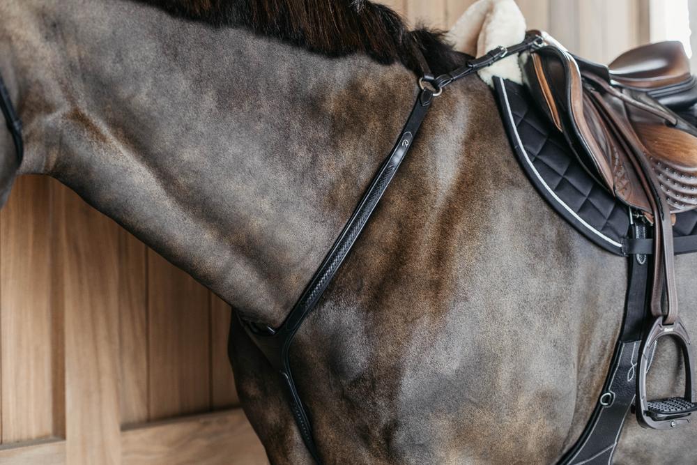 Geflochtenes Vorderzeug - New Englisch Kollektion