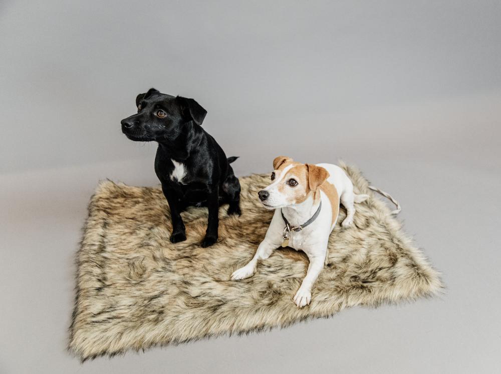 Dog Bed To Go Blanket FUZZY