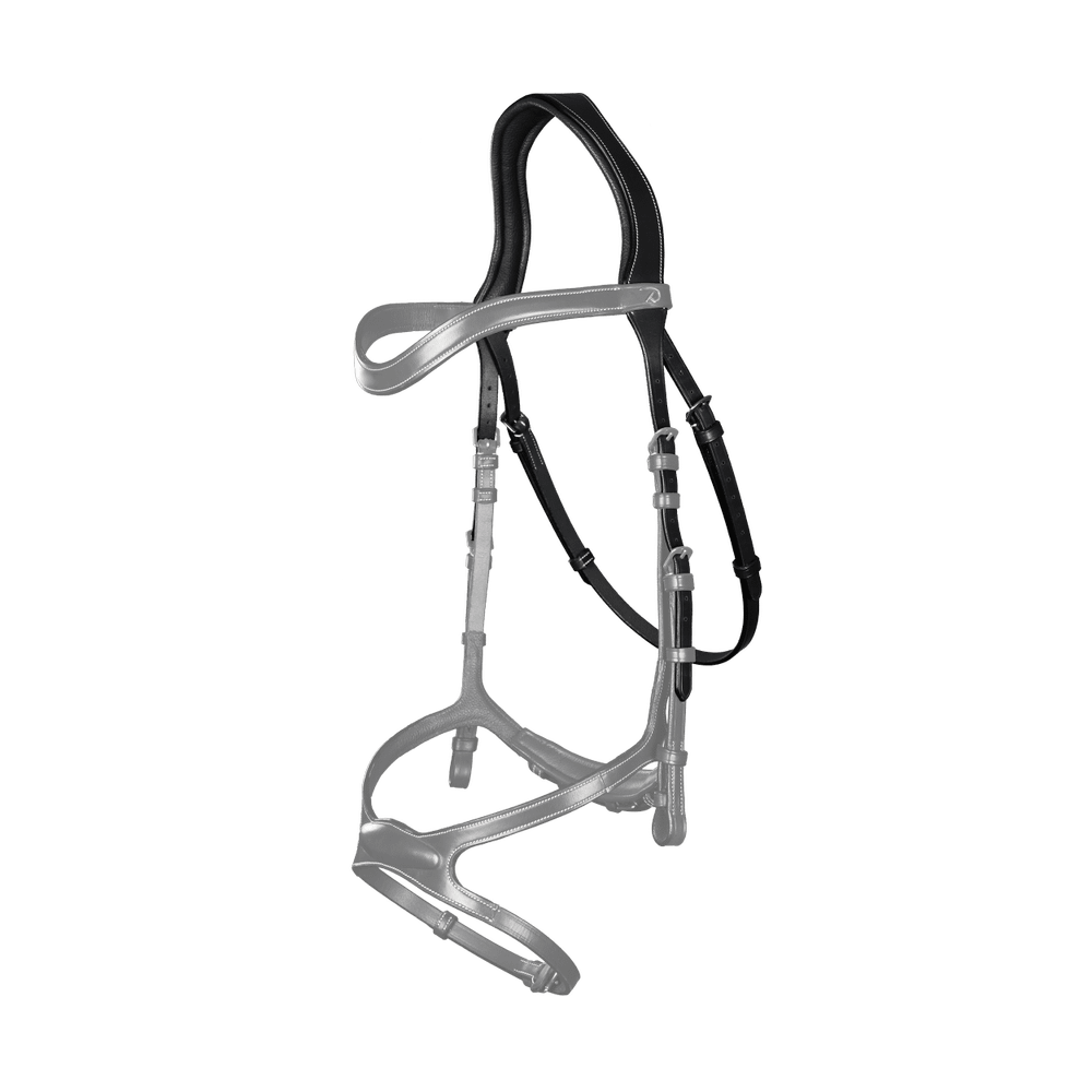 Kopfstück mit 1 Riemen und abnehmbarem Kehlriemen