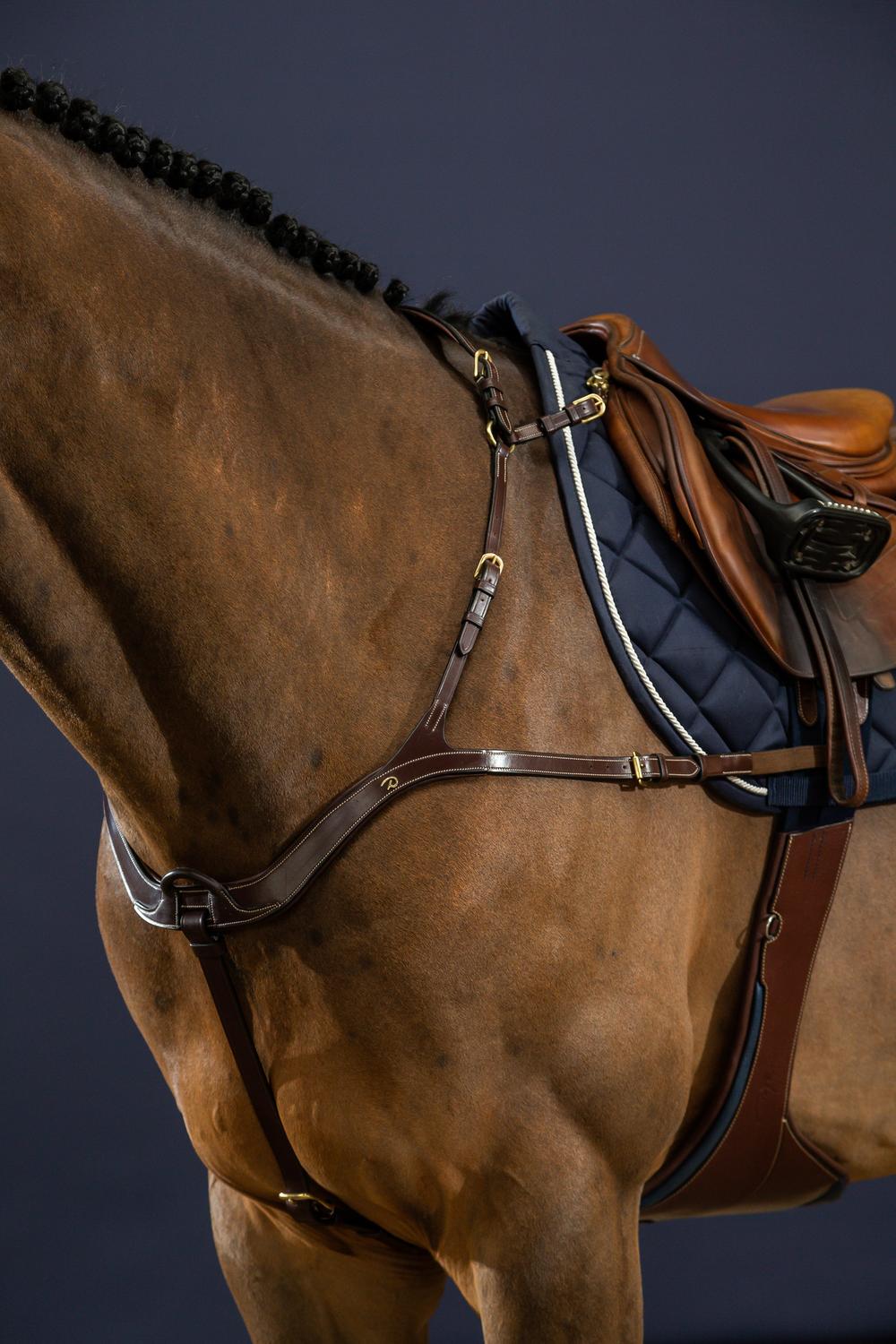 Anatomisches Vorderzeug