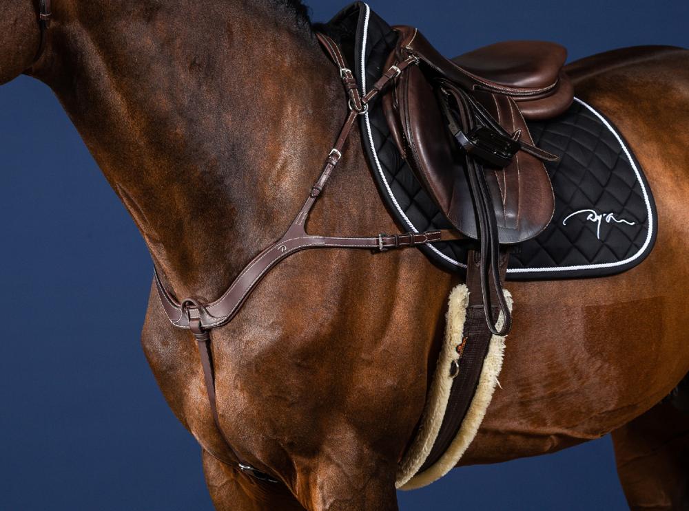 Anatomisches Vorderzeug