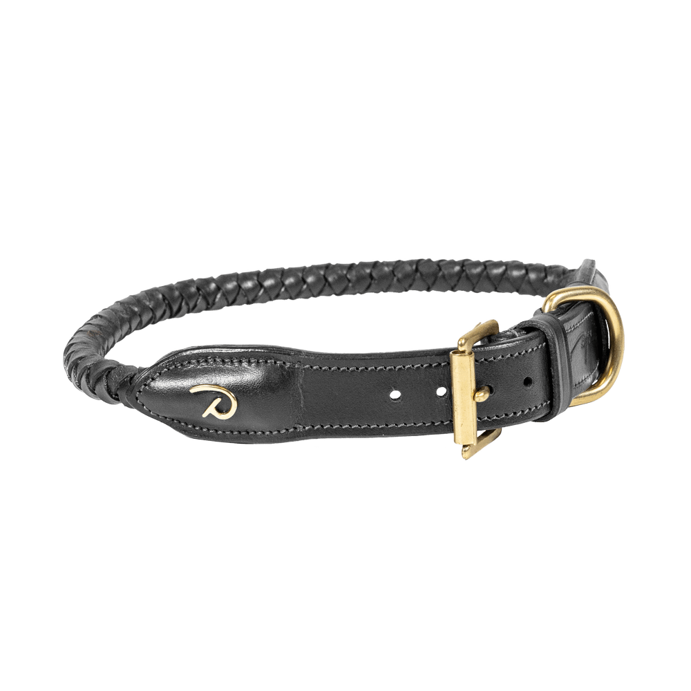 Geflochtenes Hundehalsband