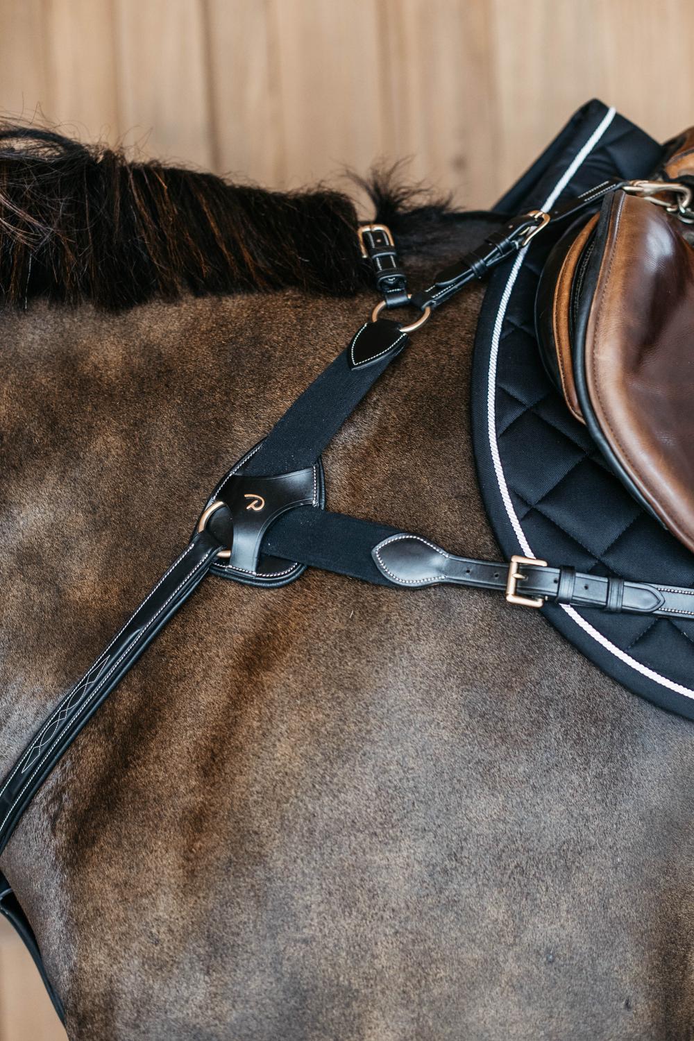 5-Punkt Vorderzeug mit Elastik