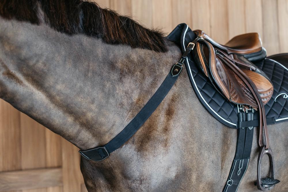 Vorderzeug mit Elastik