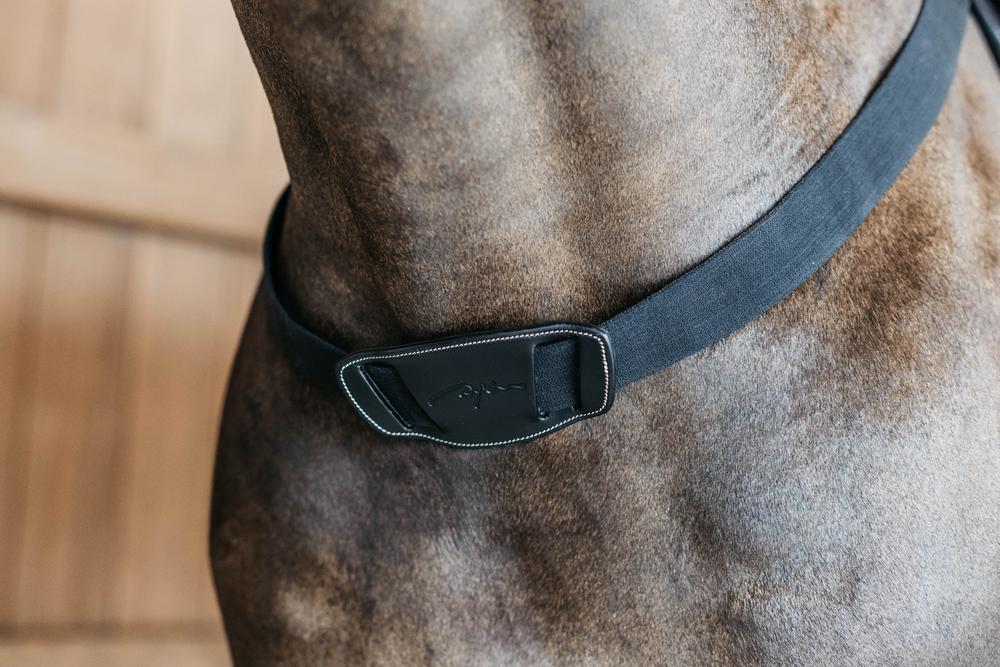 Vorderzeug mit Elastik