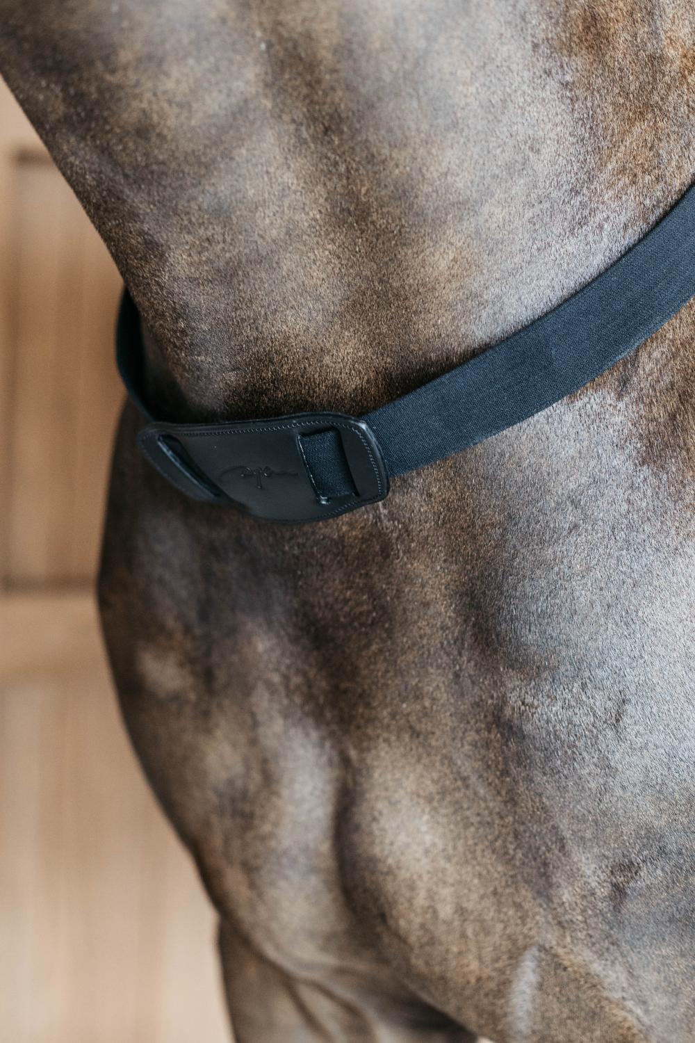 Elastisches Vorderzeug