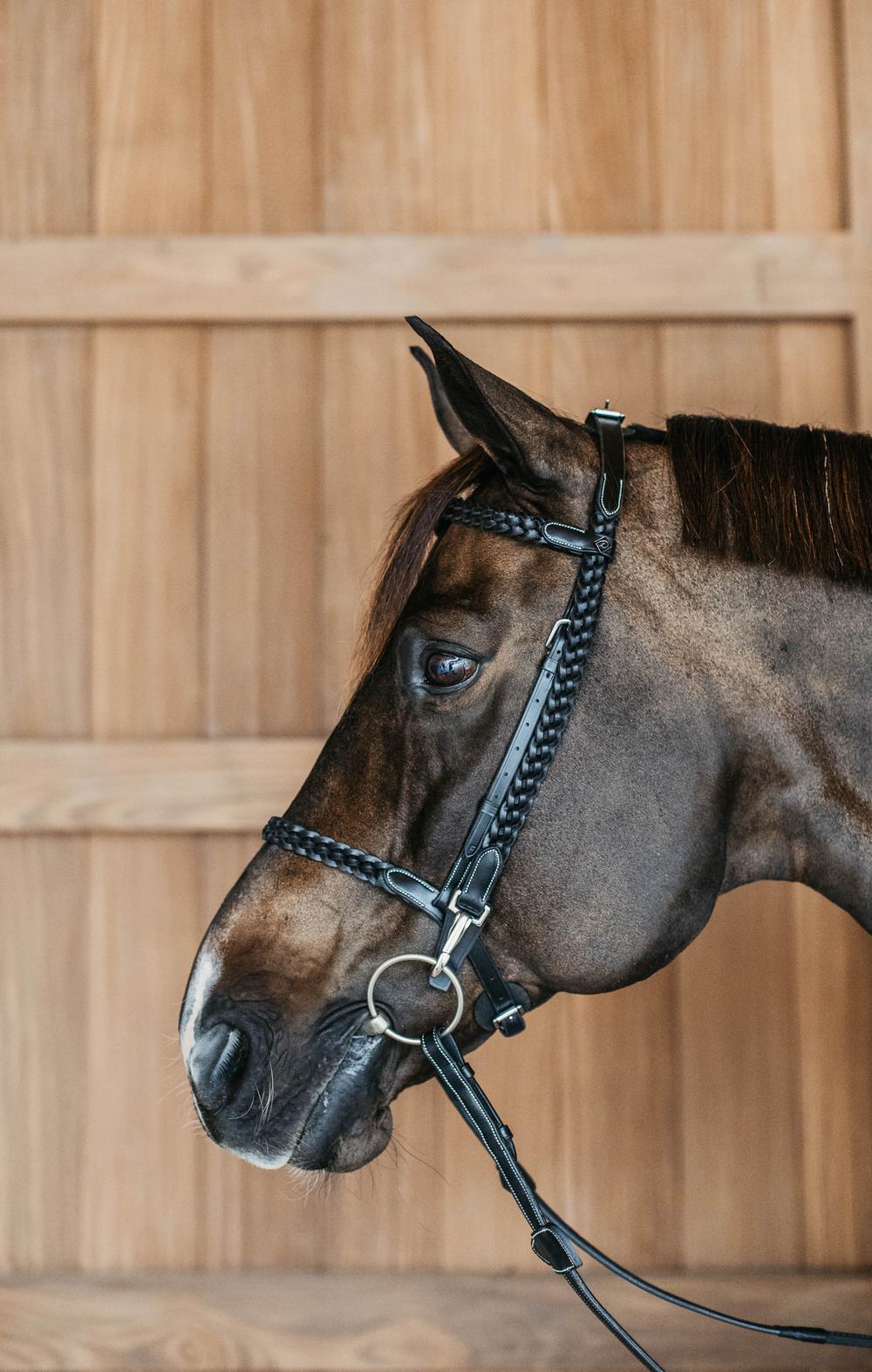 Geflochtene Trainingstrense