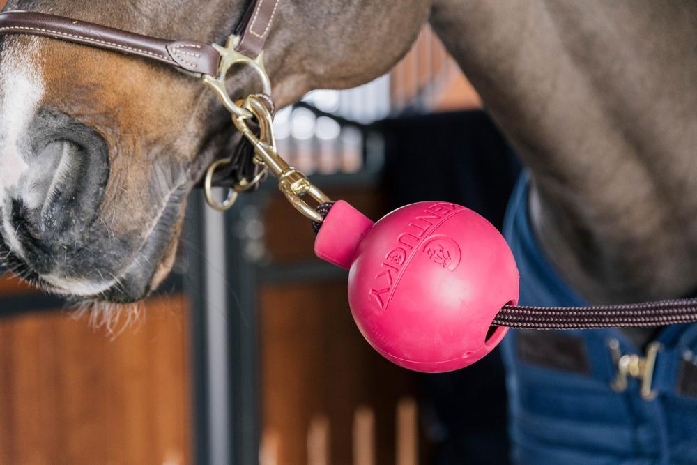 Anbinder & Wandschutz Gummiball - Kentucky Horsewear