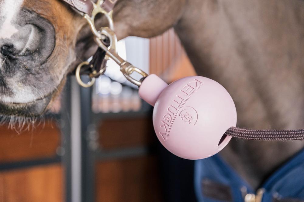 Anbinder & Wandschutz Gummiball - Kentucky Horsewear