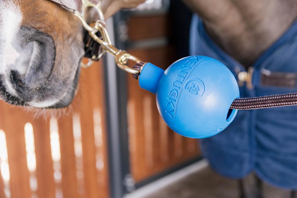 Anbinder & Wandschutz Gummiball - Kentucky Horsewear