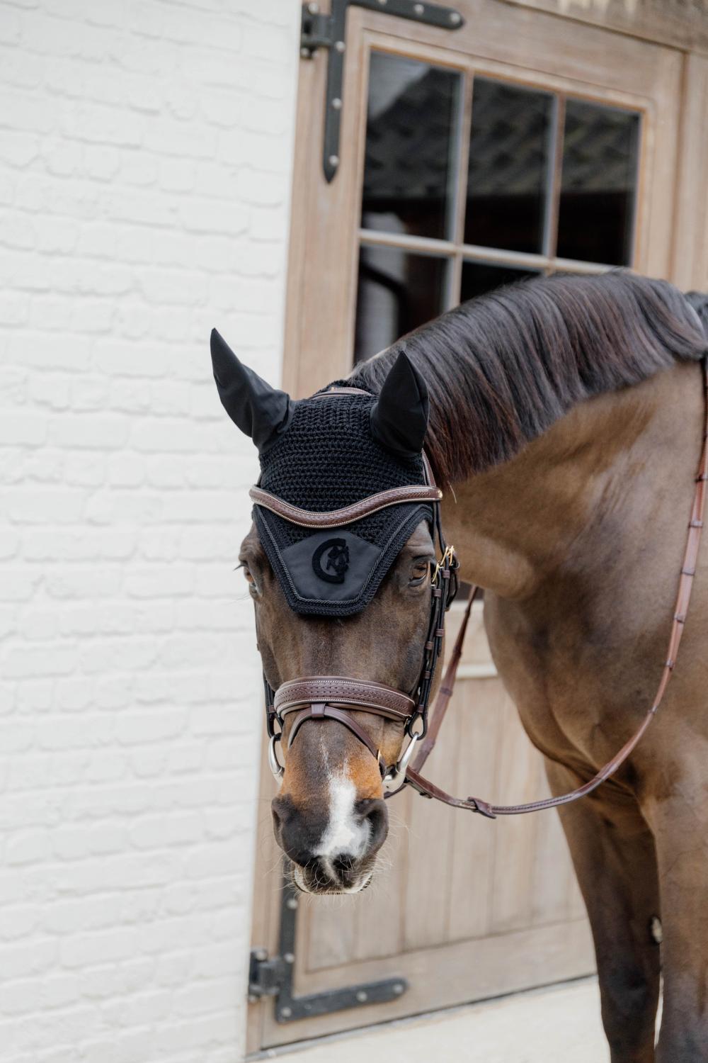 Geflochtene Trense mit schwedischem Reithalfter