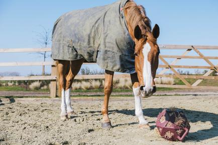 Relax Pferde Spiel & Heuball