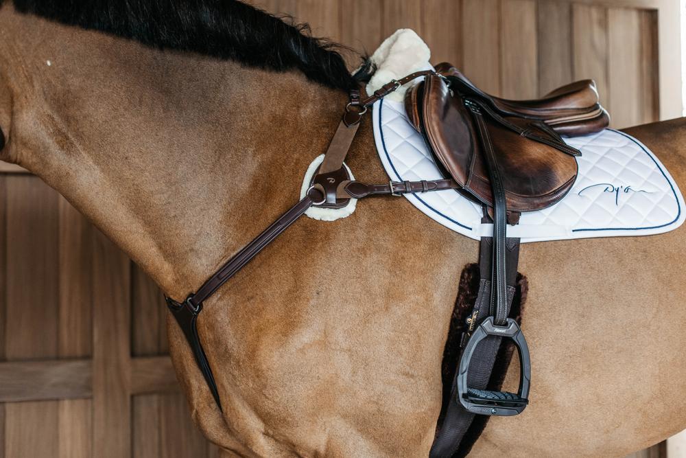 5-Punkt Vorderzeug mit Elastik