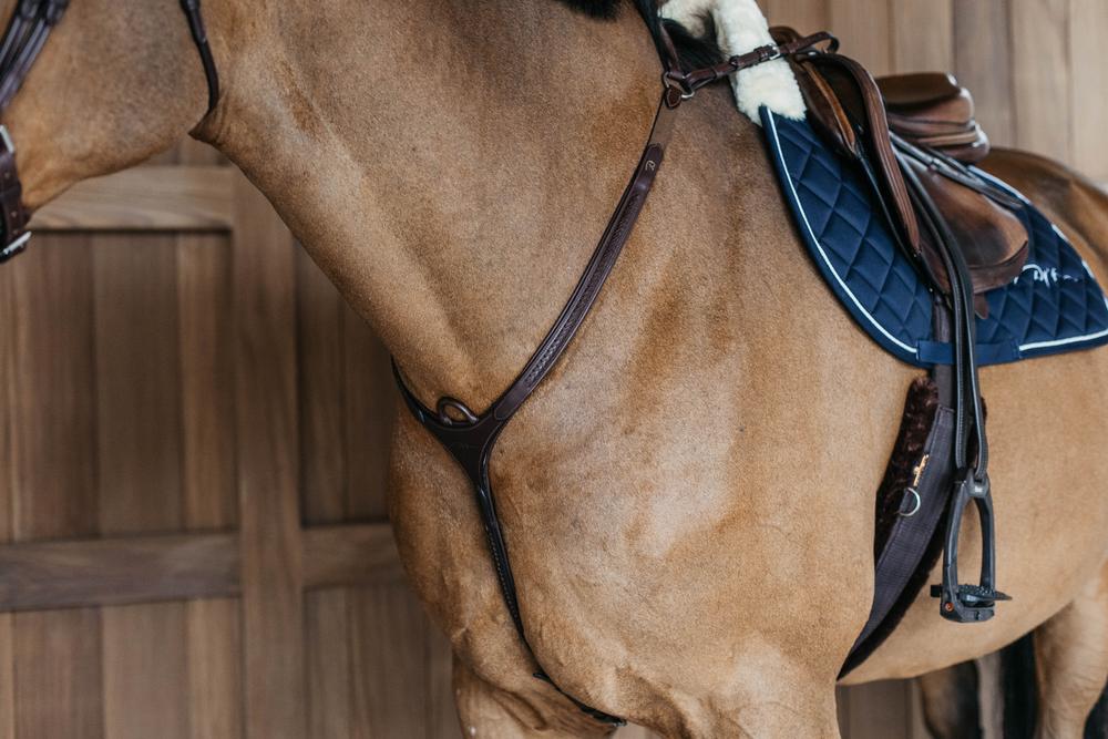 Geflochtenes Vorderzeug - New Englisch Kollektion